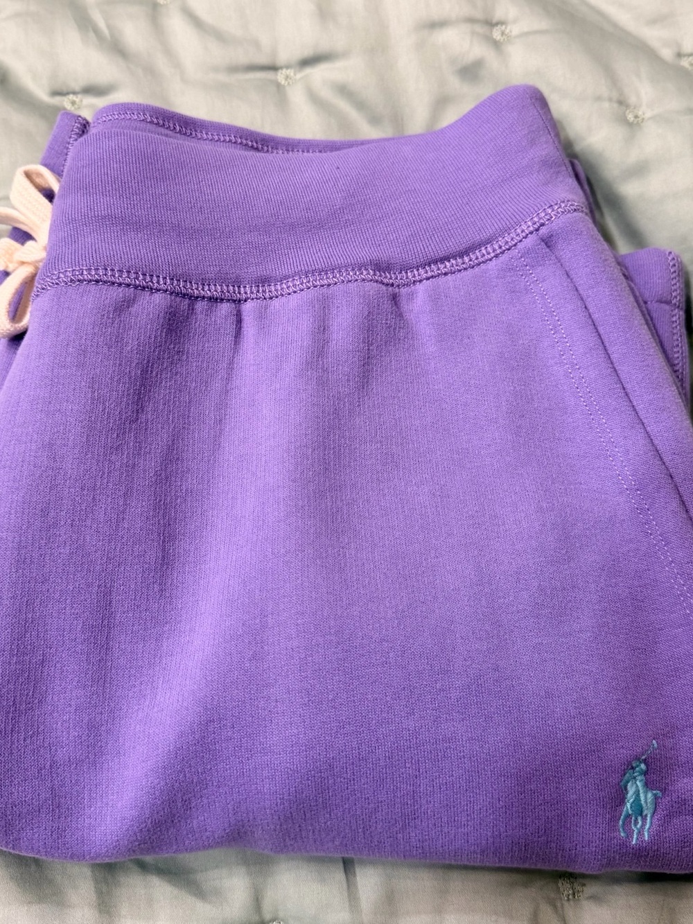 Polo by Ralph Lauren Men’s  Purple Shorts NWT